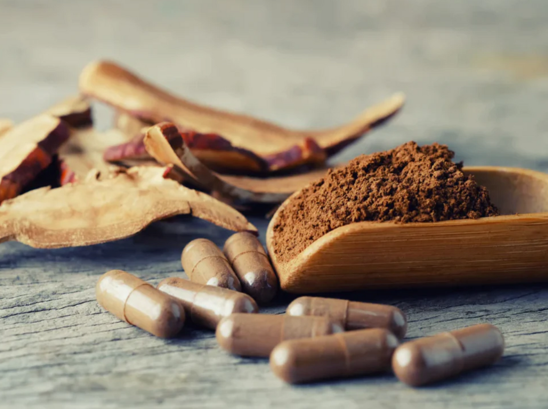 After Clearing HPV: Should You Keep Taking AHCC?